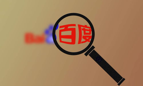 什么是SEO蜘蛛池